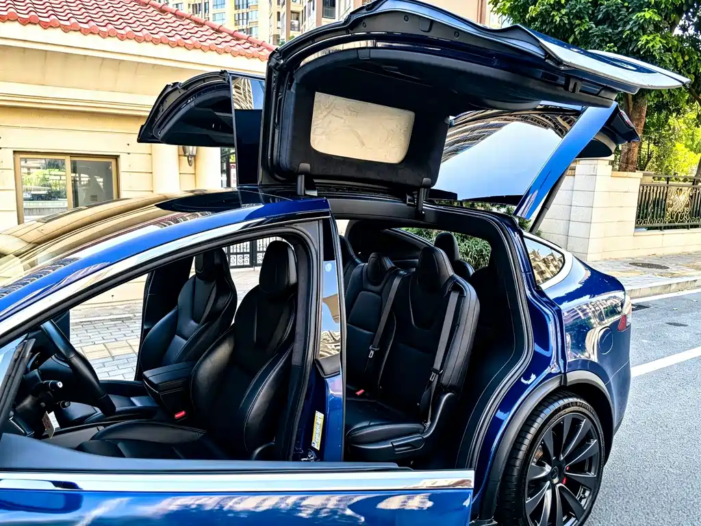Tesla Model X — миниатюра 12