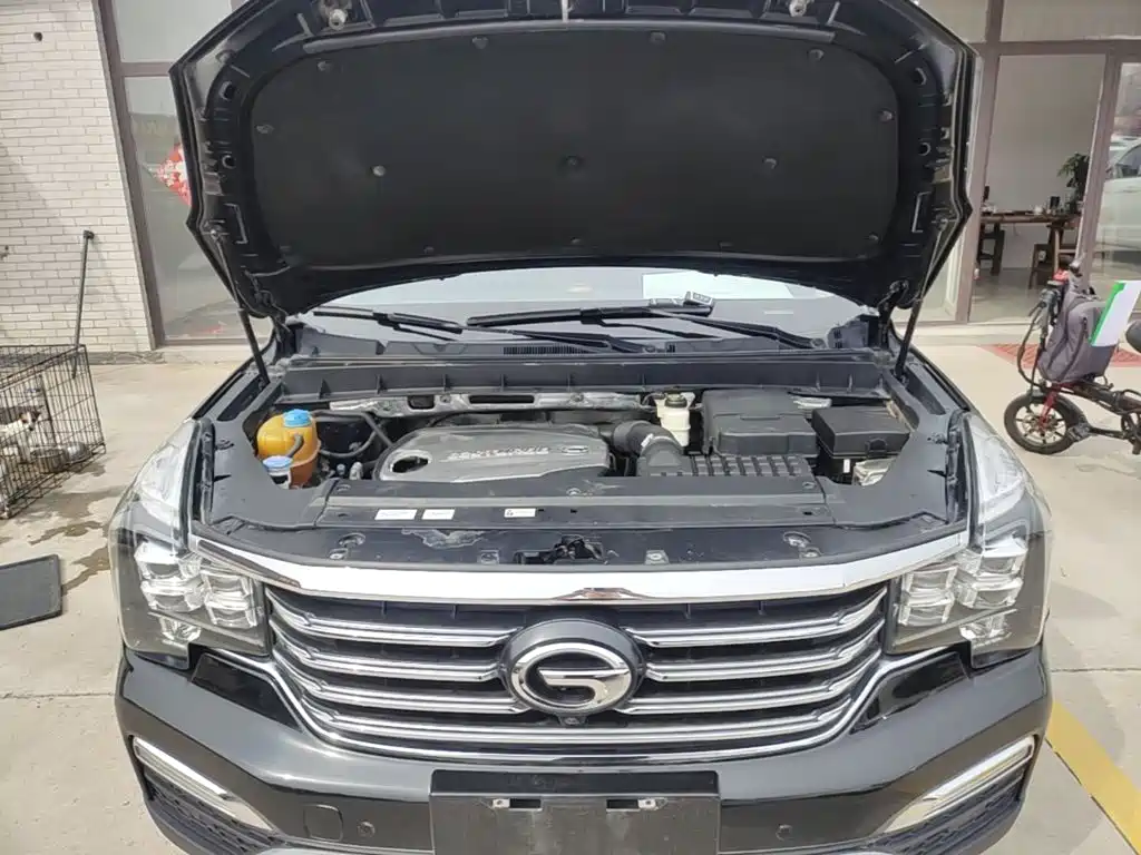 GAC Motor Trumpchi GS8 — миниатюра 20