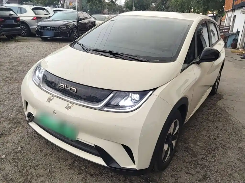 BYD Dolphin