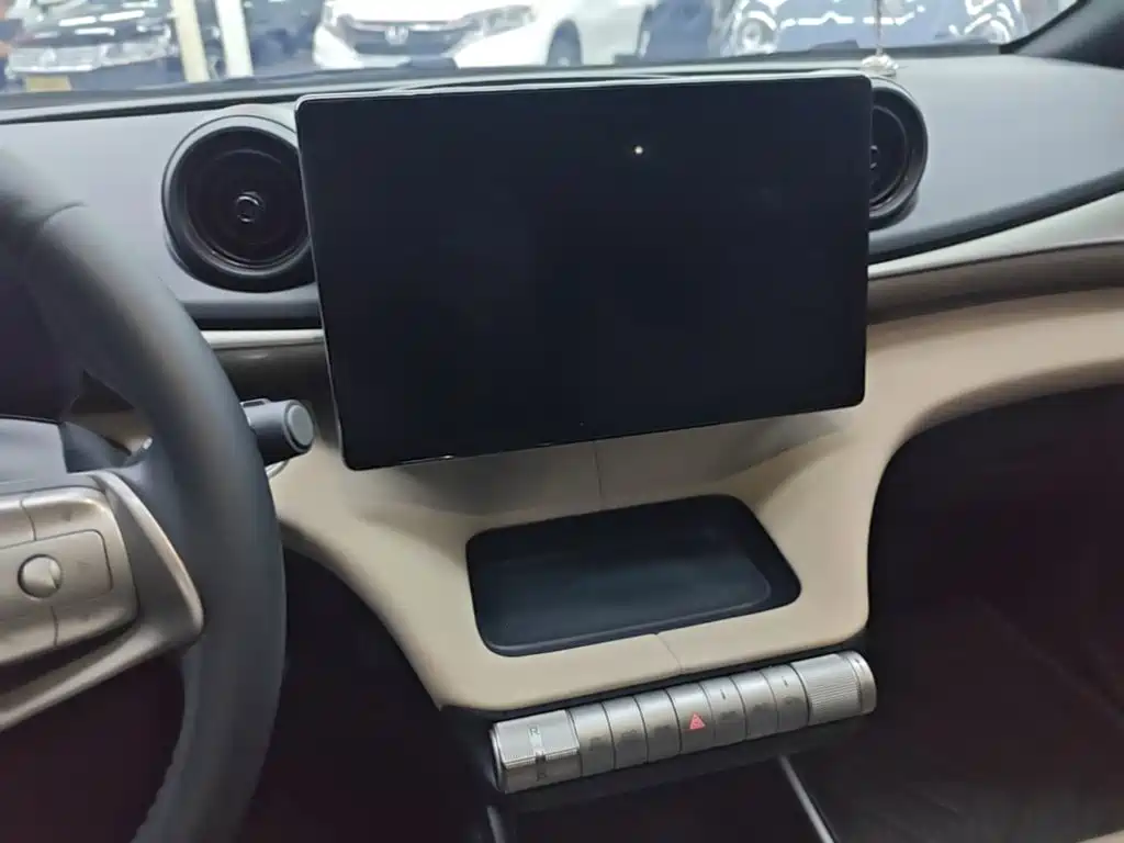 BYD Dolphin — миниатюра 13