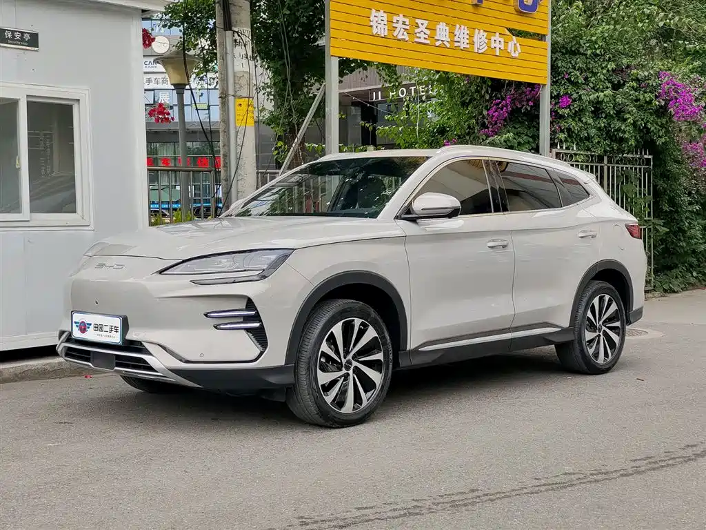 Byd PLUS New Energy 2024