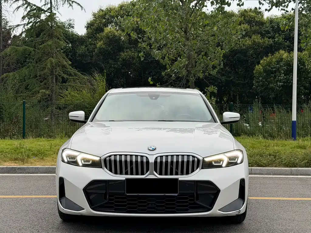 BMW 3 Series 320Li M Sport Package, фото 3