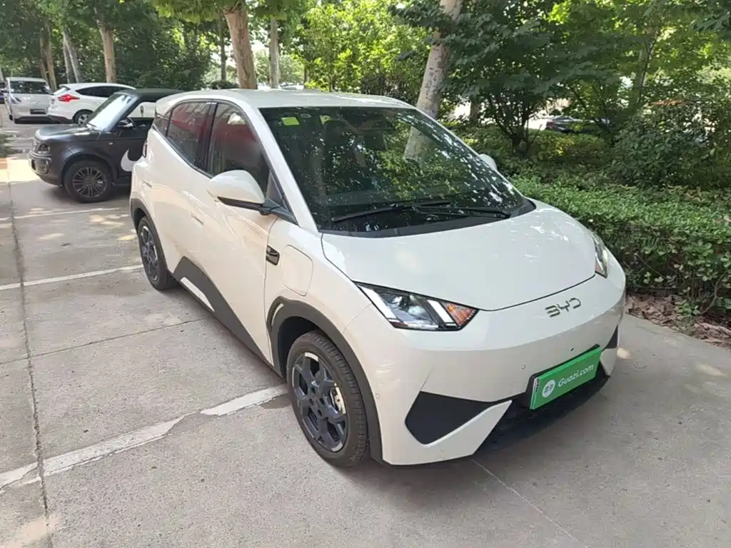 BYD Seagull 2025 Smart Drive 305km Freedom