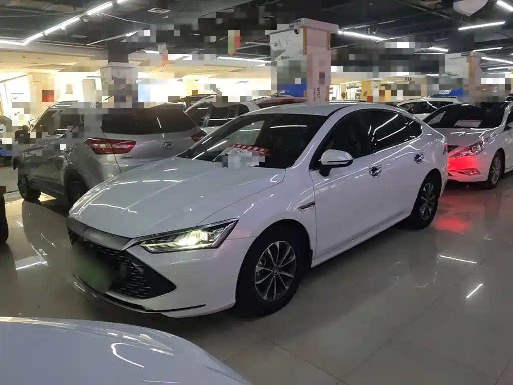 BYD Qin Plus 2023 Champion Edition DM-i 55KM Leading Type