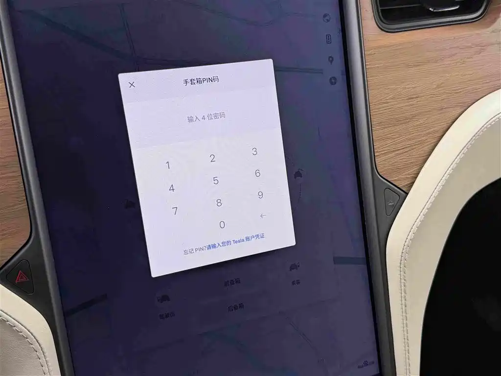 Tesla Model X — миниатюра 16