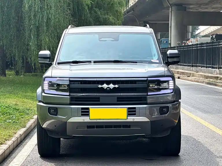 Fang Cheng Bao Leopard 5 — миниатюра 2