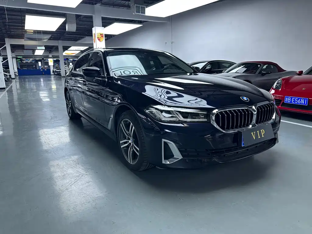 BMW 5 Series 5 2021 530Li Lead Luxury