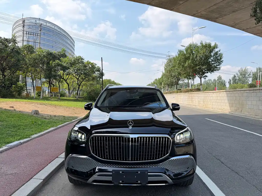 Mercedes-Benz GLS — миниатюра 2