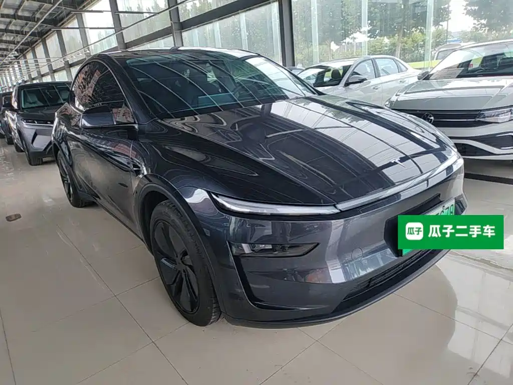 Tesla Model Y — миниатюра 4