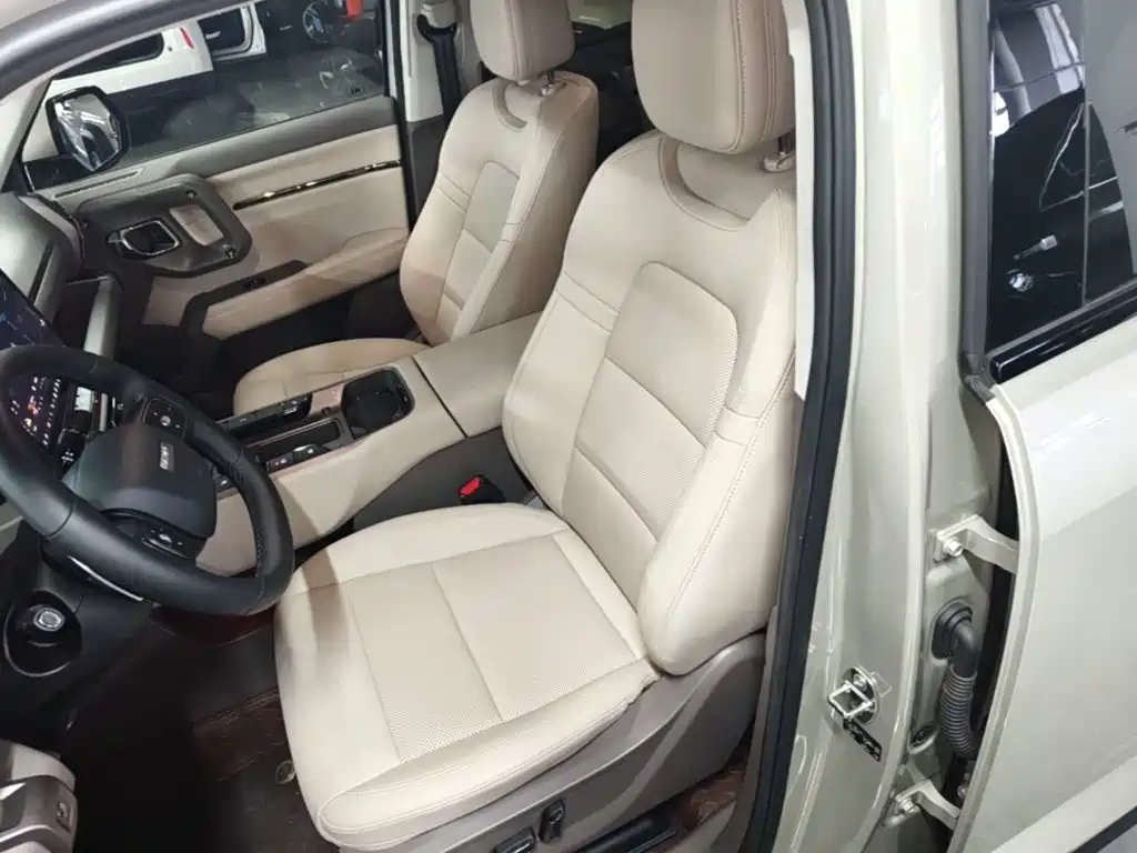 Haval Big Dog PLUS — миниатюра 15