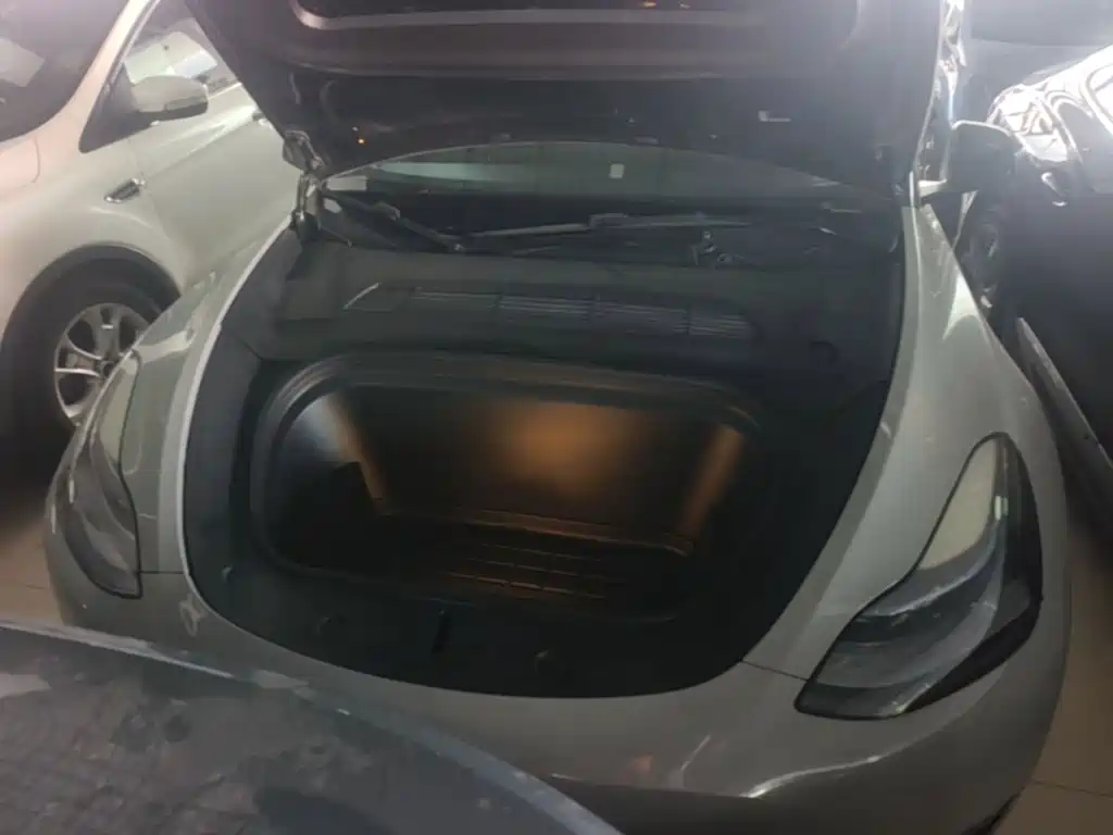 Tesla Model Y — миниатюра 11