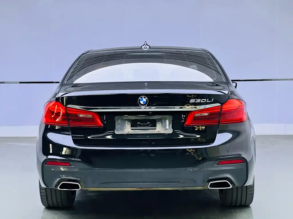 BMW 5 Series 5 2019 530Li Lead M Sport