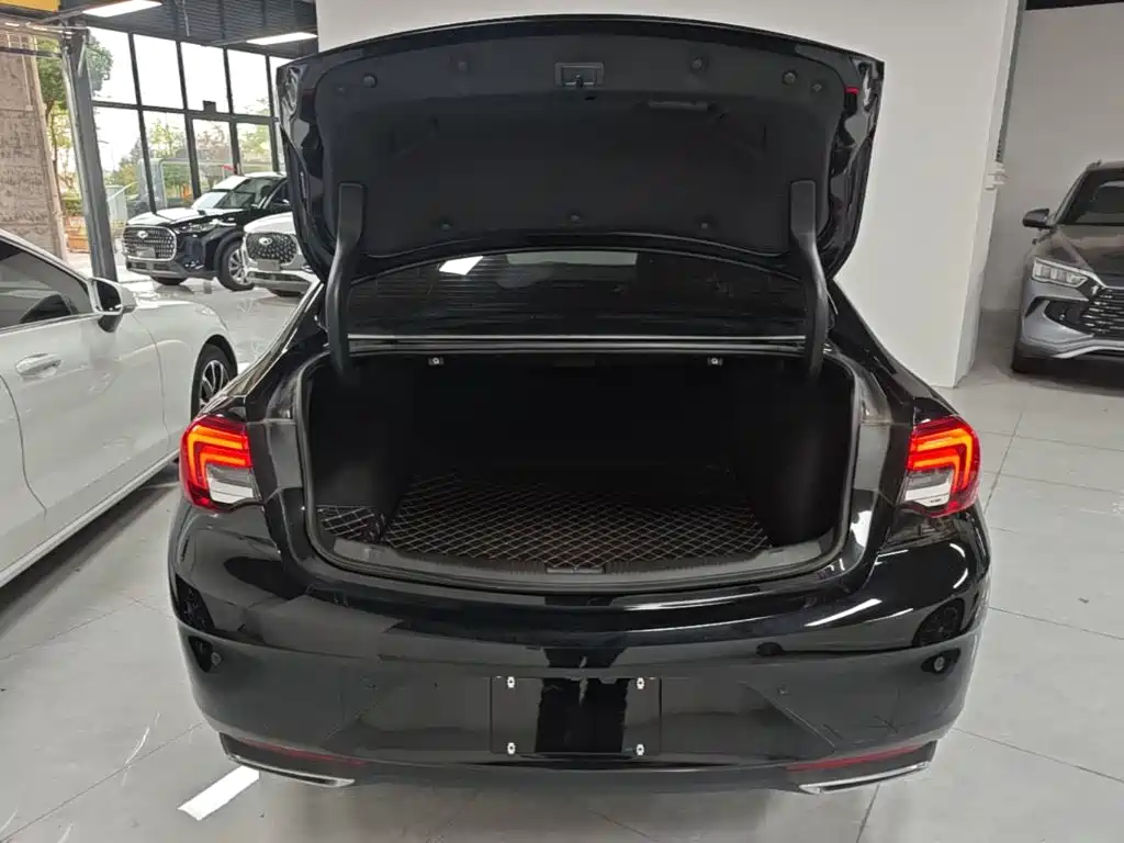 Buick Regal — миниатюра 19