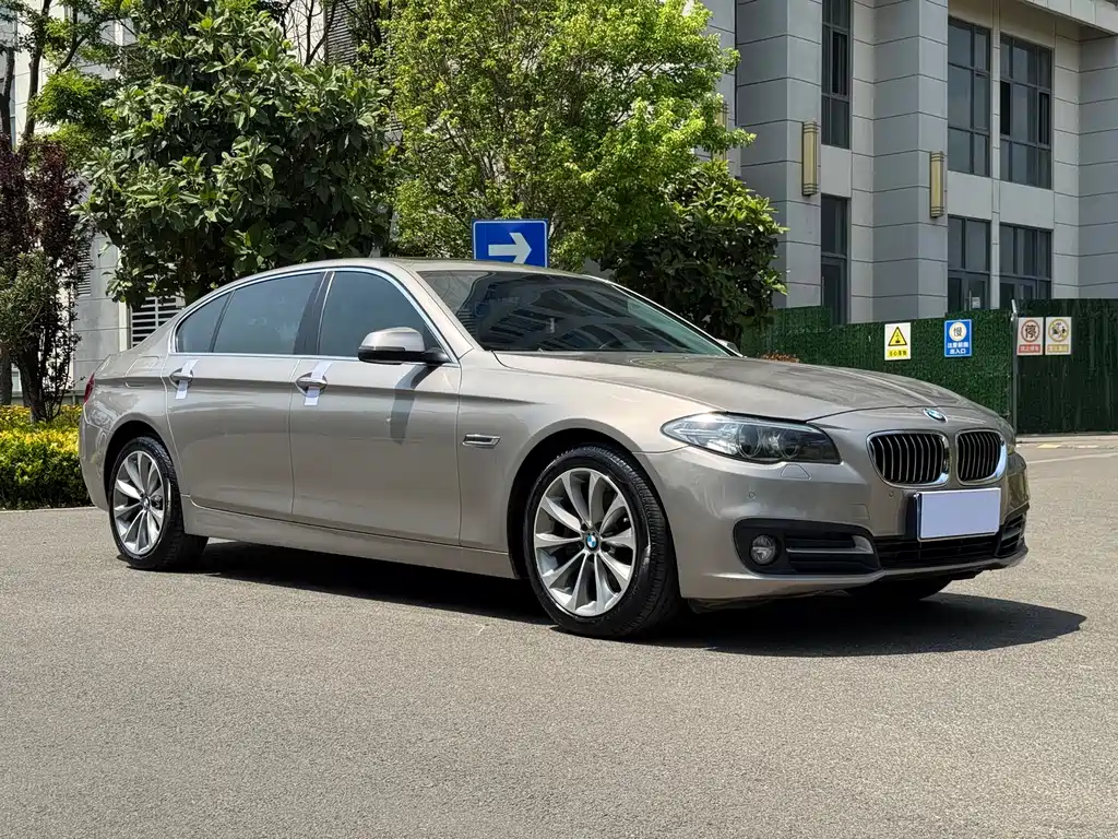 BMW 5 Series 5 2017 525Li Lead