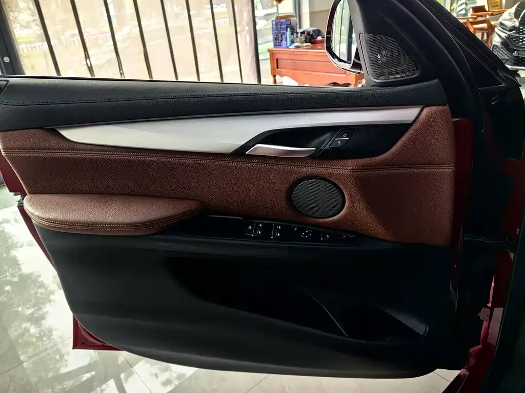 BMW X6 — миниатюра 15