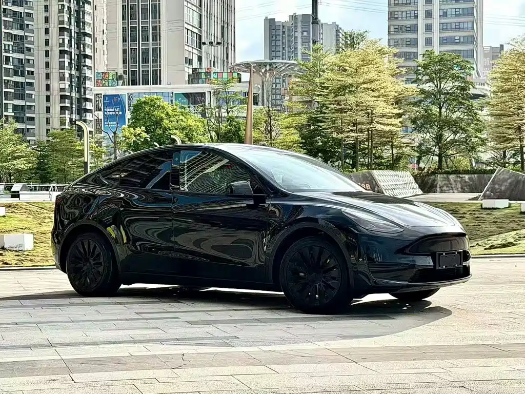 Tesla Model Y — миниатюра 3