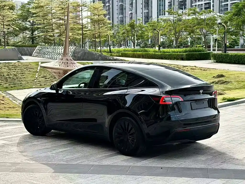 Tesla Model Y — миниатюра 4