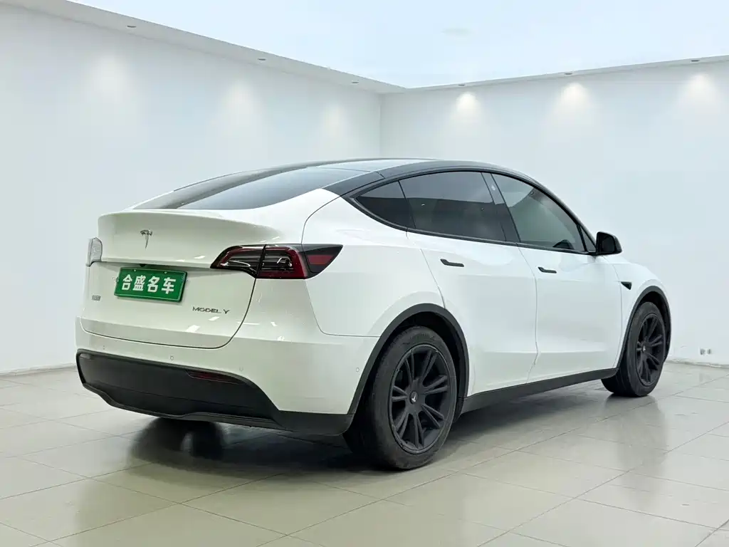 Tesla Model Y — миниатюра 10