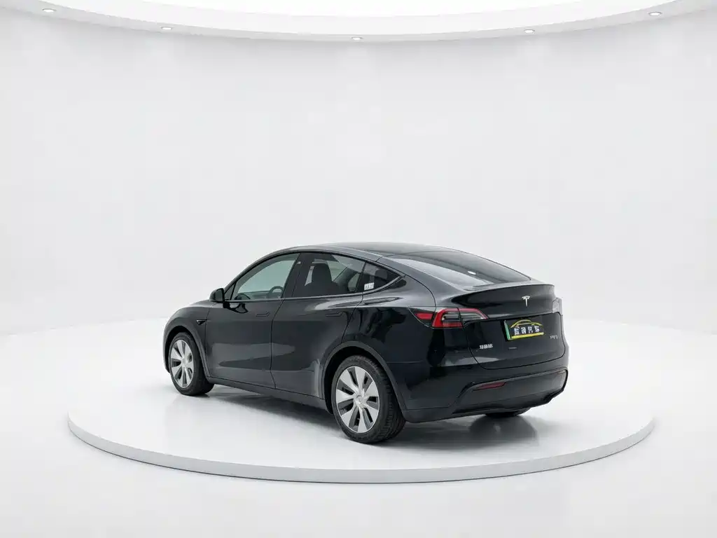 Tesla Model Y — миниатюра 13