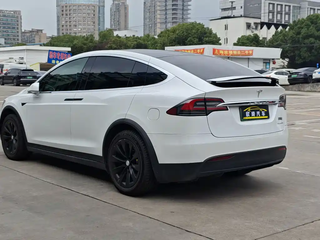 Tesla Model X — миниатюра 13