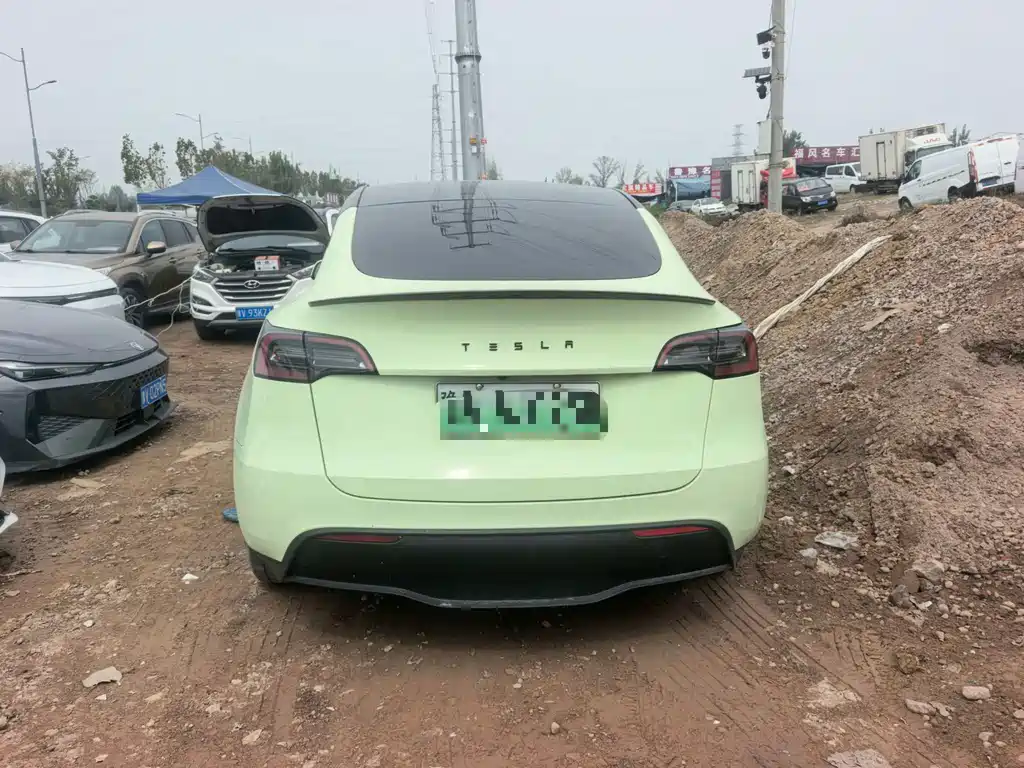 Tesla Model Y — миниатюра 8