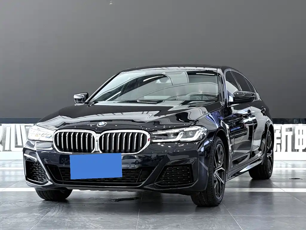 BMW 5 Series — миниатюра 4
