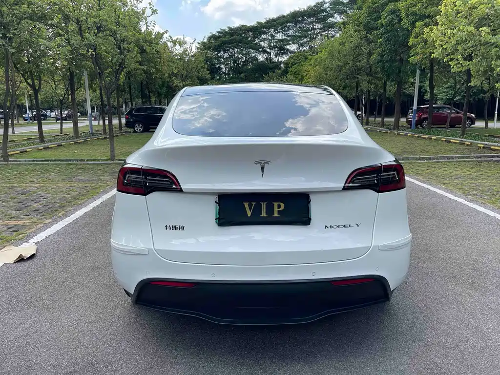 Tesla Model Y — миниатюра 5