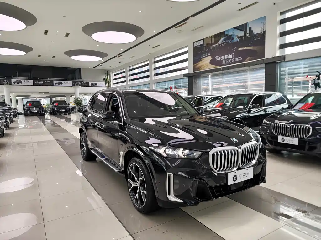 BMW X5 — миниатюра 3