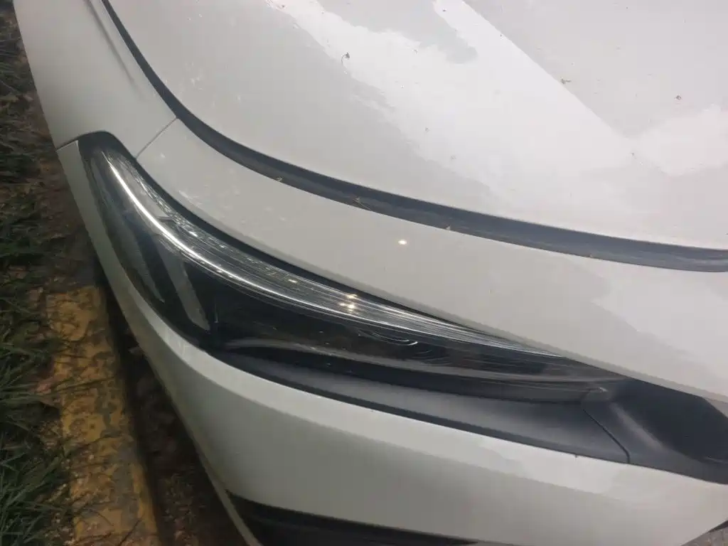 Honda Civic — миниатюра 7