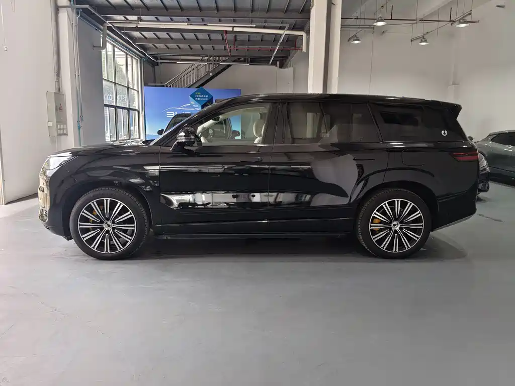 Denza N9