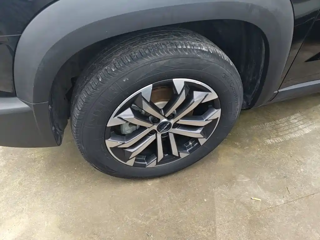 Haval Big Dog — миниатюра 23