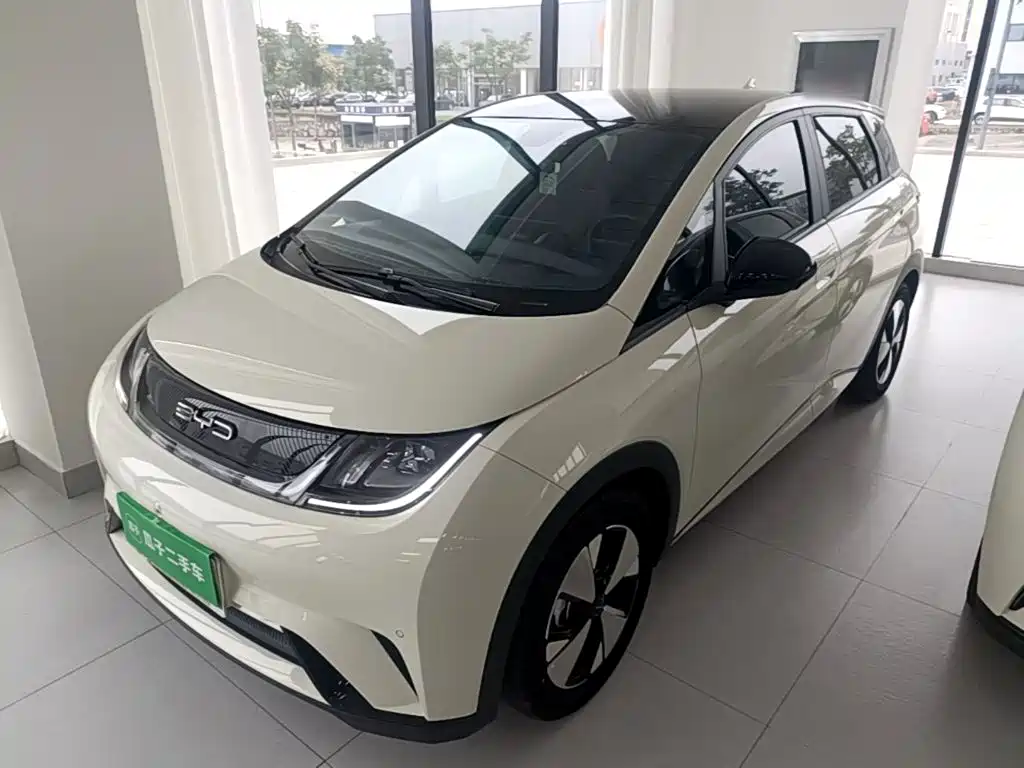 BYD Dolphin — миниатюра 2