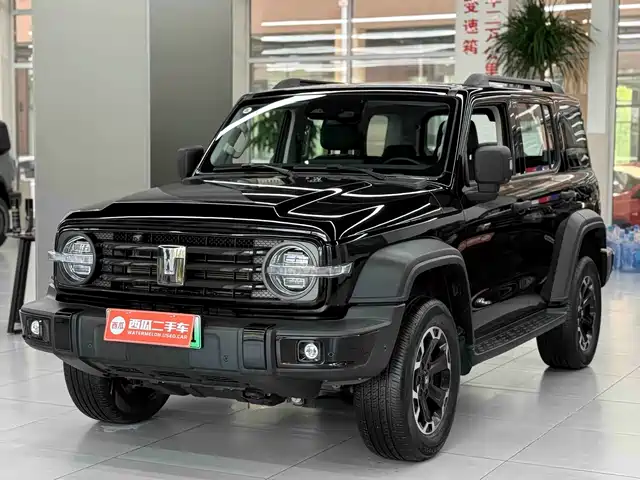 2025 TANK 300
