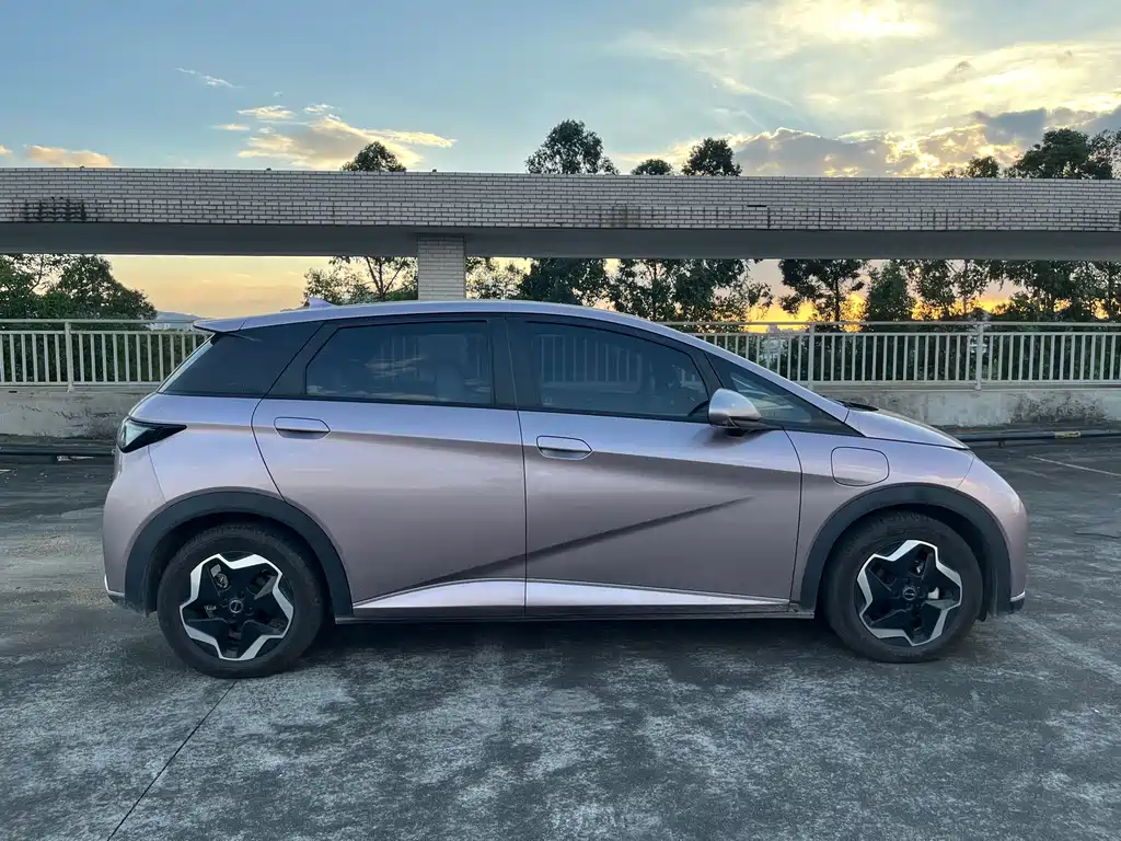 BYD Dolphin — миниатюра 8