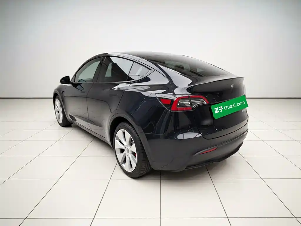 Tesla Model Y — миниатюра 4