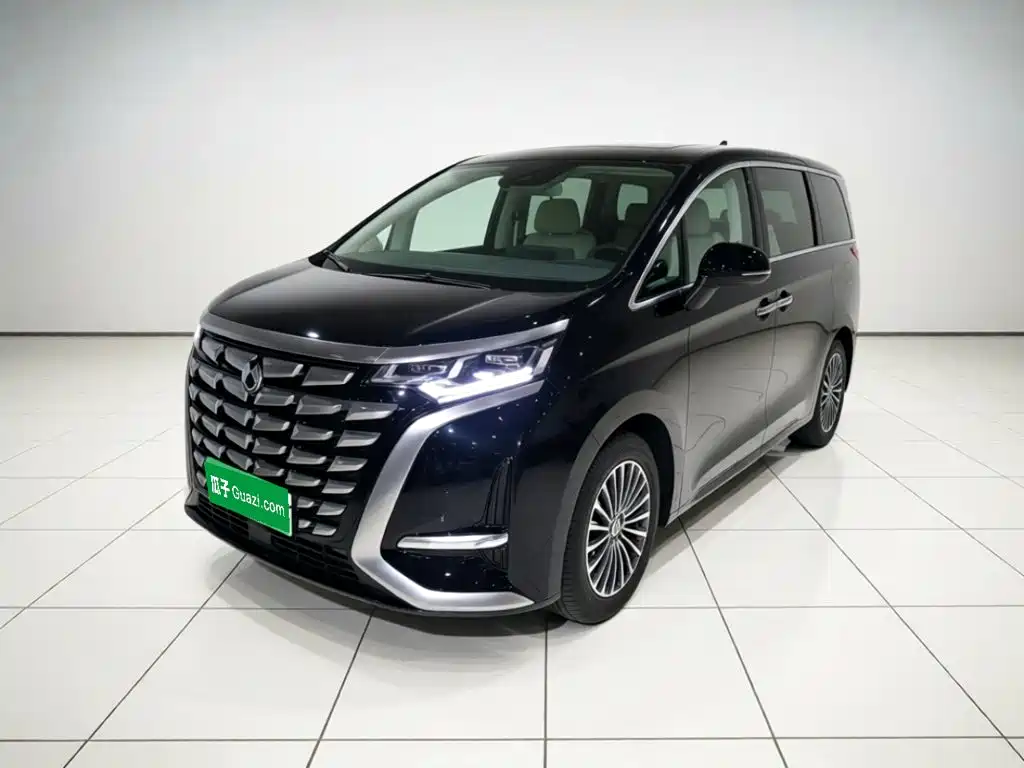 Denza Denza D9 — миниатюра 2