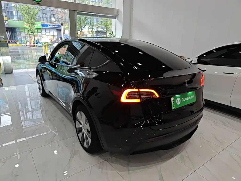 Tesla Model Y — миниатюра 5