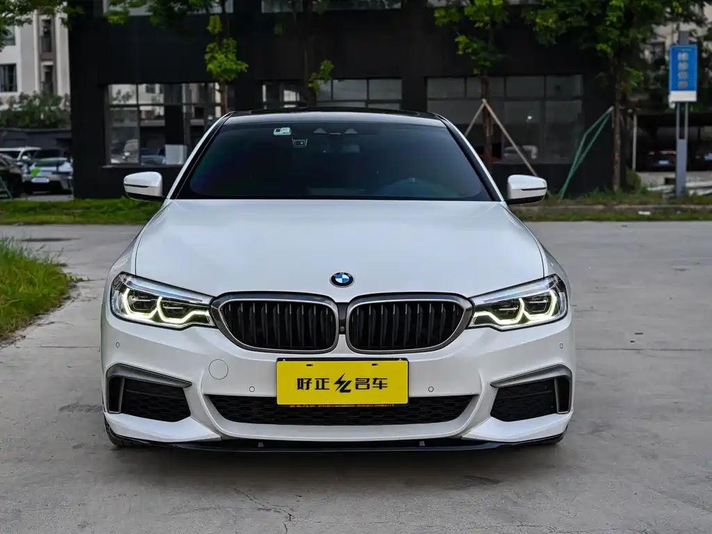 BMW 5 Series (Import) — миниатюра 3