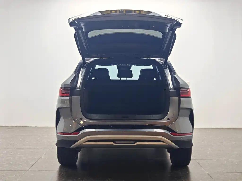 BYD SONGJIANG NEW ENERGY