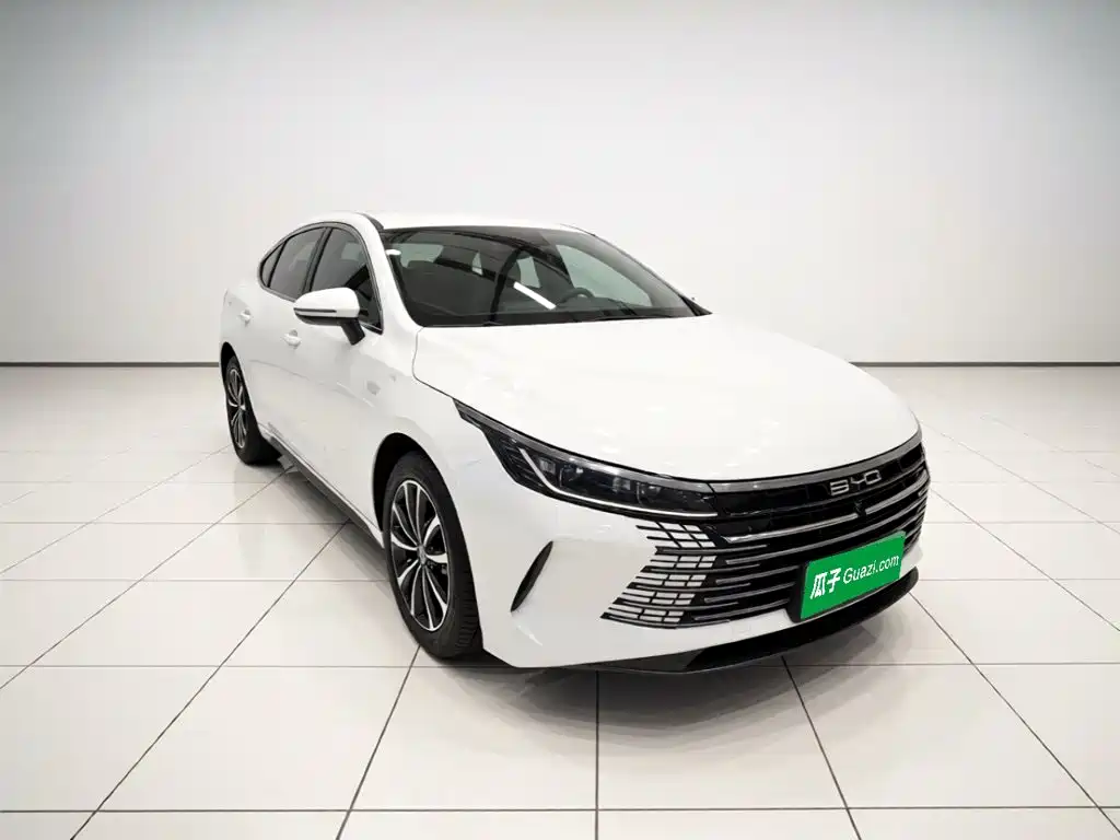 BYD Destroyer 05 — миниатюра 3