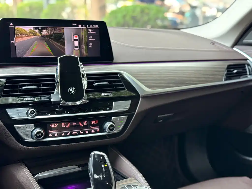 BMW 5 Series 5 2020 530Li Premium Luxury