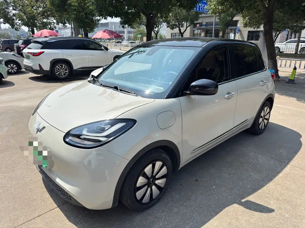 Wuling Bingo