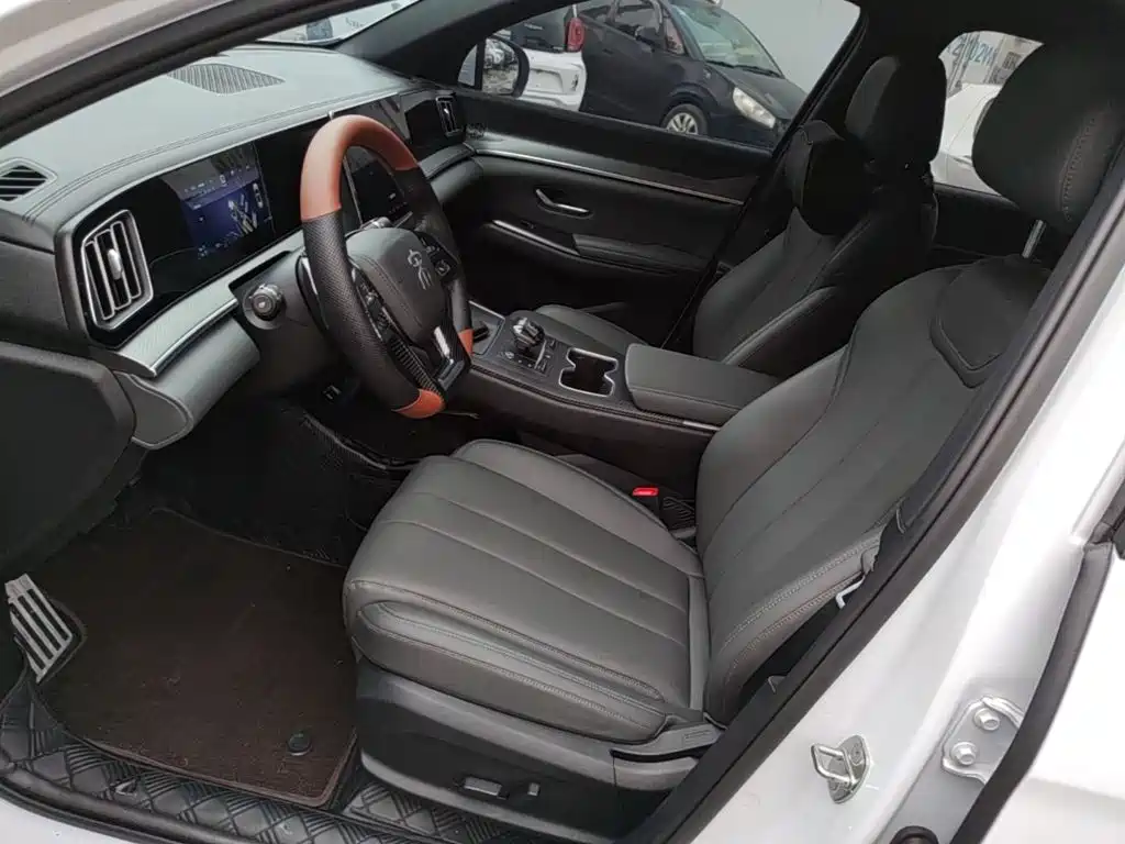 BYD Pro New Energy — миниатюра 15
