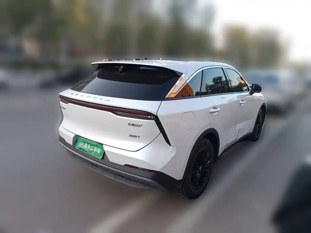 Venucia V — миниатюра 5