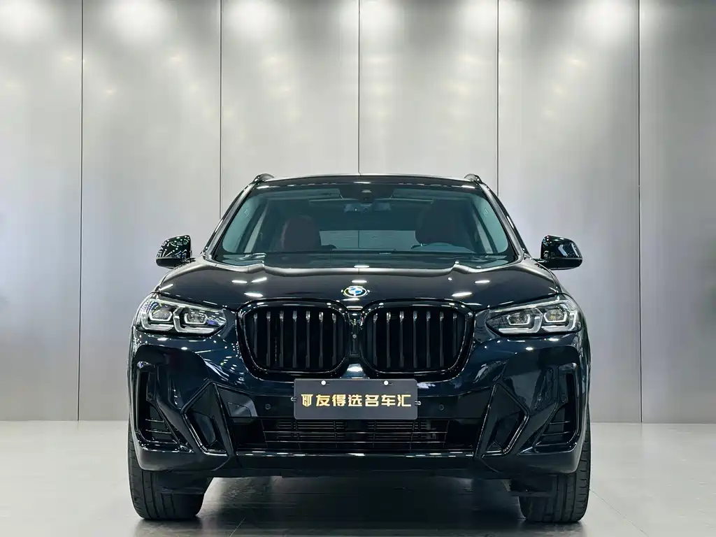 BMW X3 — миниатюра 2