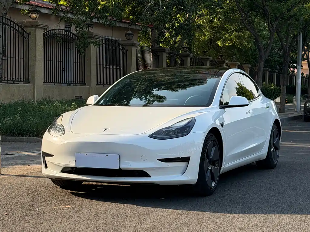 Tesla Model 3 2021