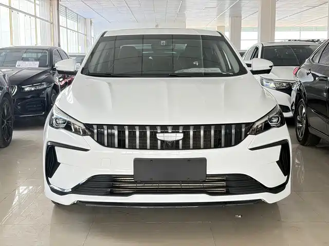 2023 Geely Binrui