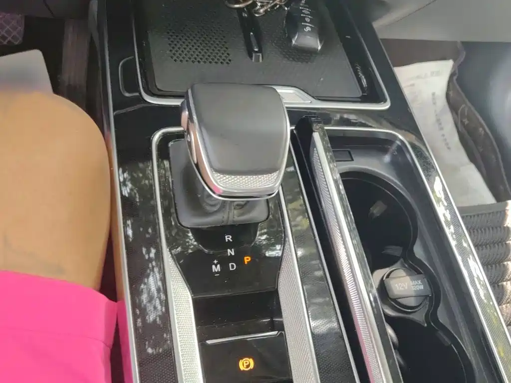 Hongqi HS5 2023 2.0T Pro