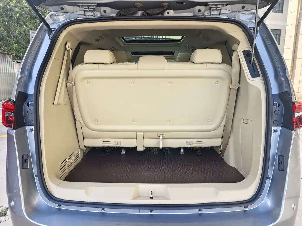 Buick GL8 — миниатюра 19