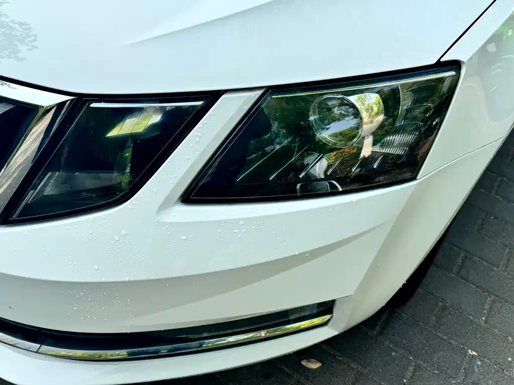 Skoda Octavia 2019 TSI230 DSG Luxury V